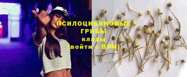 кристаллы Заводоуковск