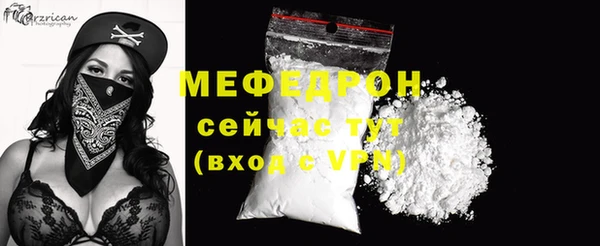 индика Ельня