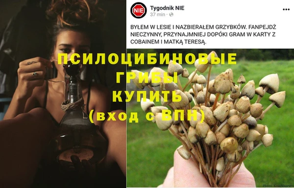 кокс Заволжск